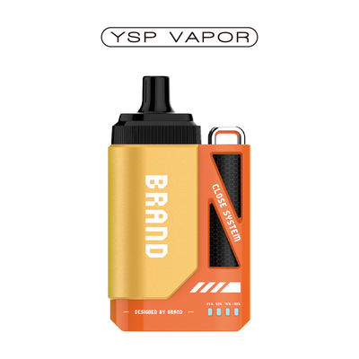 Electronic Cigarette 6000 Puffs Vape Pod System 10ml Refillable Pod System