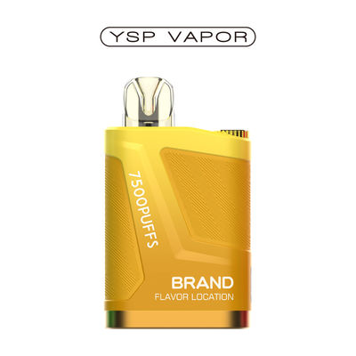 16000 Puffs Disposable Vape Pod 2% Refillable Nicotine Vape Pen