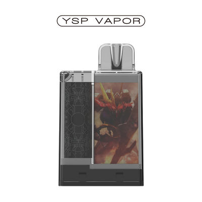 1.2 Ohm 6000 Puffs Pod System 10ml Rechargeable Vape Pod Kits